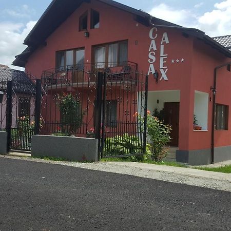 Vila Alex Hotel Călimăneşti Exterior foto