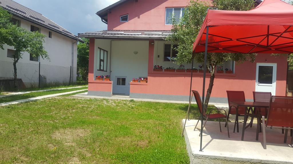 Vila Alex Hotel Călimăneşti Exterior foto