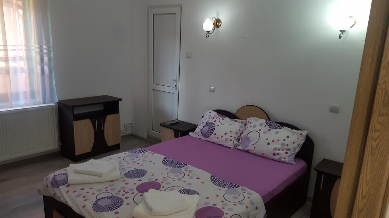 Vila Alex Hotel Călimăneşti Exterior foto